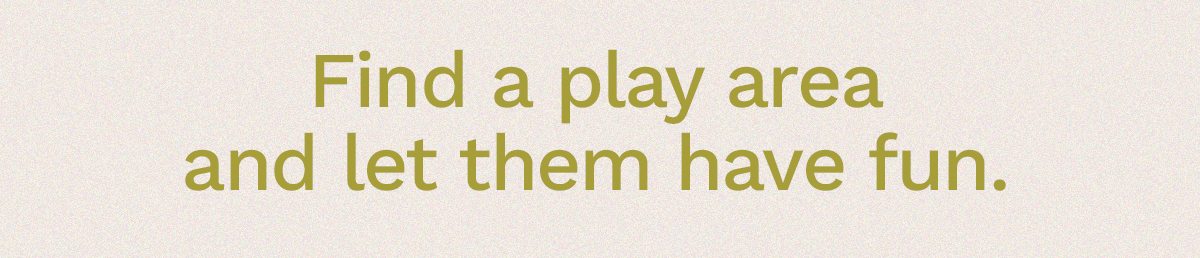 Find a play area and let them have fun.