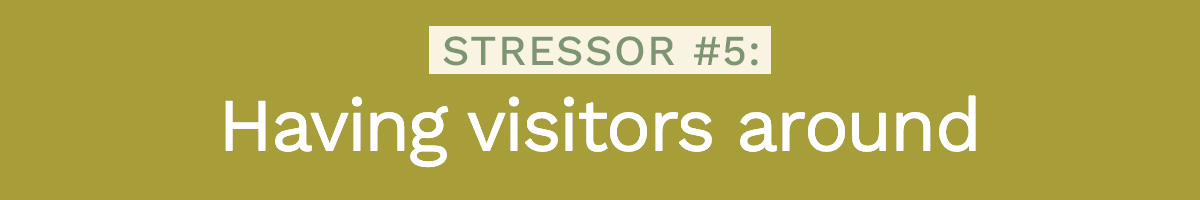 Stressor # 5: Having visitors around