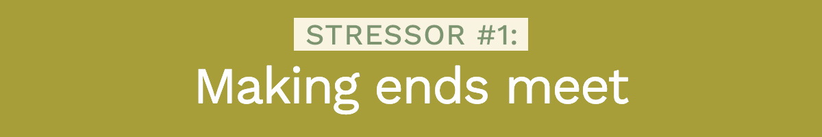 Stressor # 1: Making ends meet