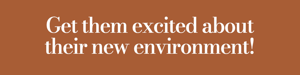 Get them excited about their new environment!