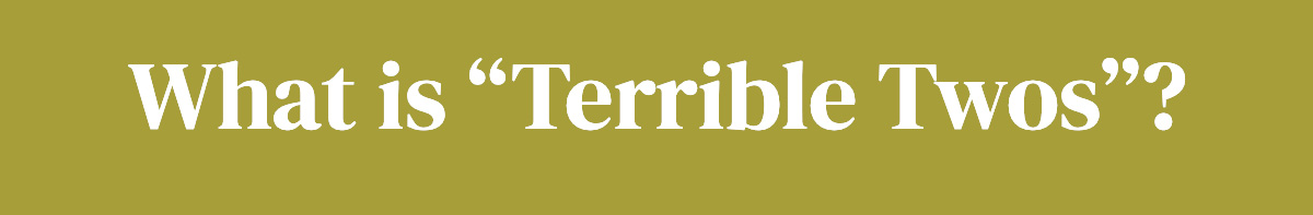 What is Terrible Twos?