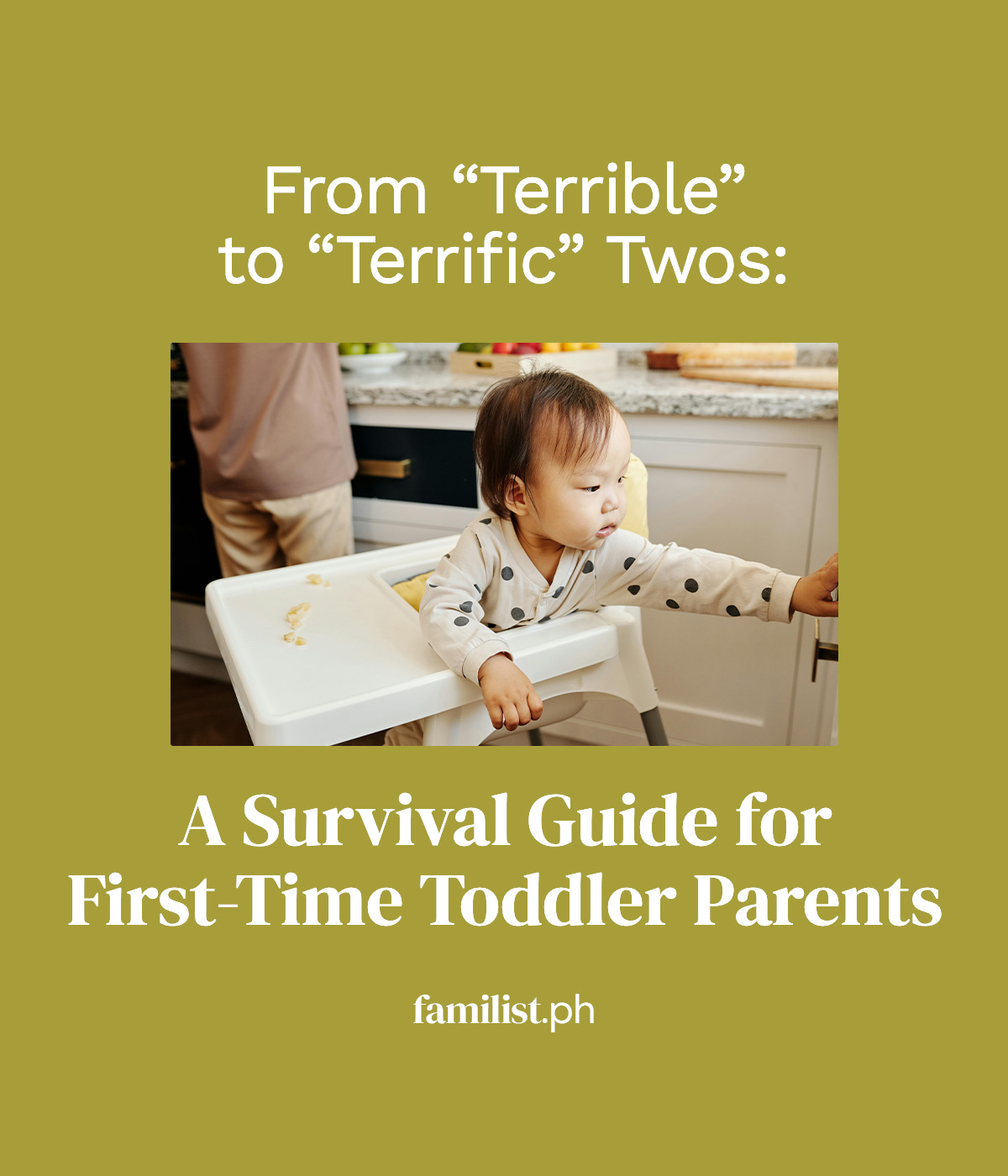 From "Terrible" to "Terrific Twos": A Survival Guide for First-Time Toddler Parents