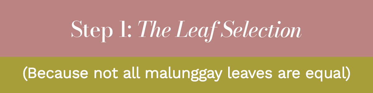 Step 1: The Leaf Selection (Because not all malunggay leaves are equal)