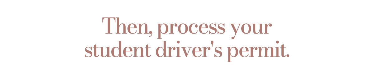 Then, process your student driver's permit.