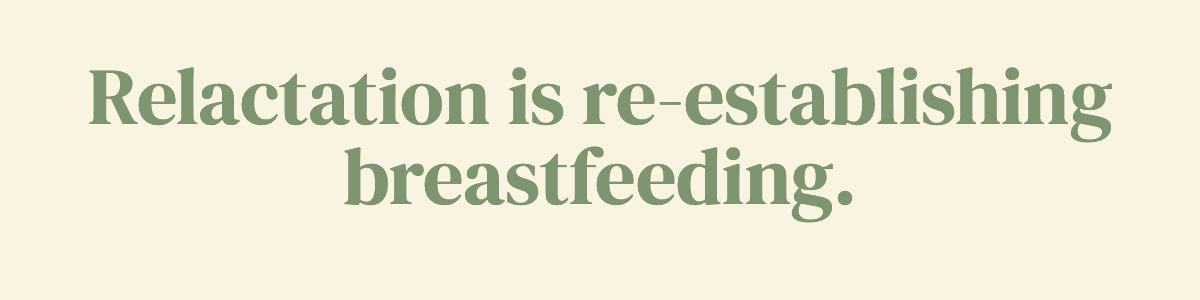 Relactation is re-establishing breastfeeding.