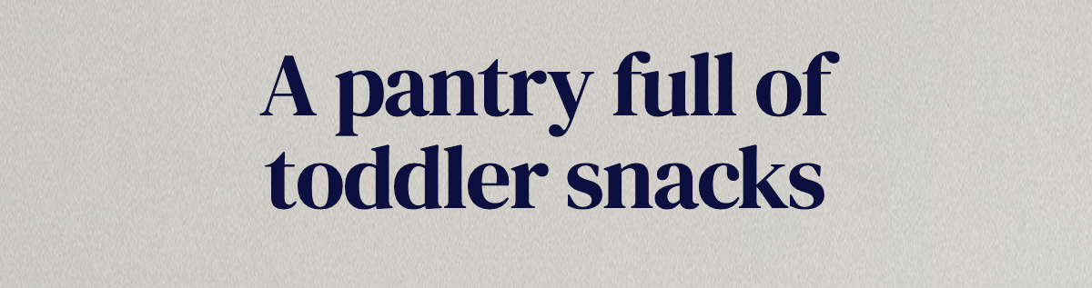 A pantry full of toddler snacks