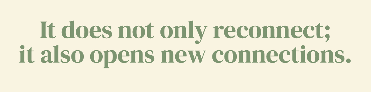 It does not only reconnect; it also opens new connections.
