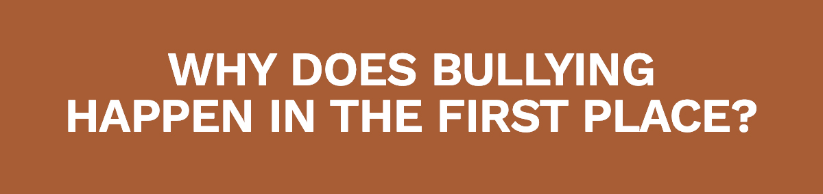 Why does bullying happen in the first place?