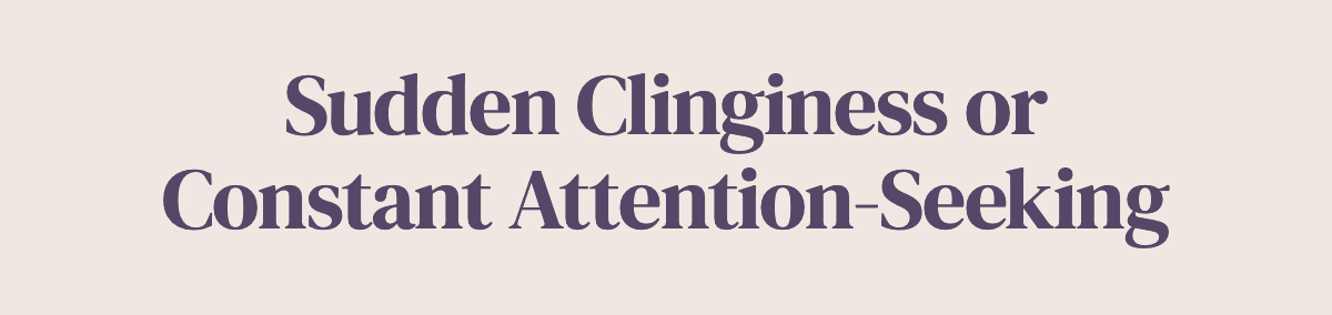 <strong>Sudden Clinginess or Constant Attention-Seeking</strong>