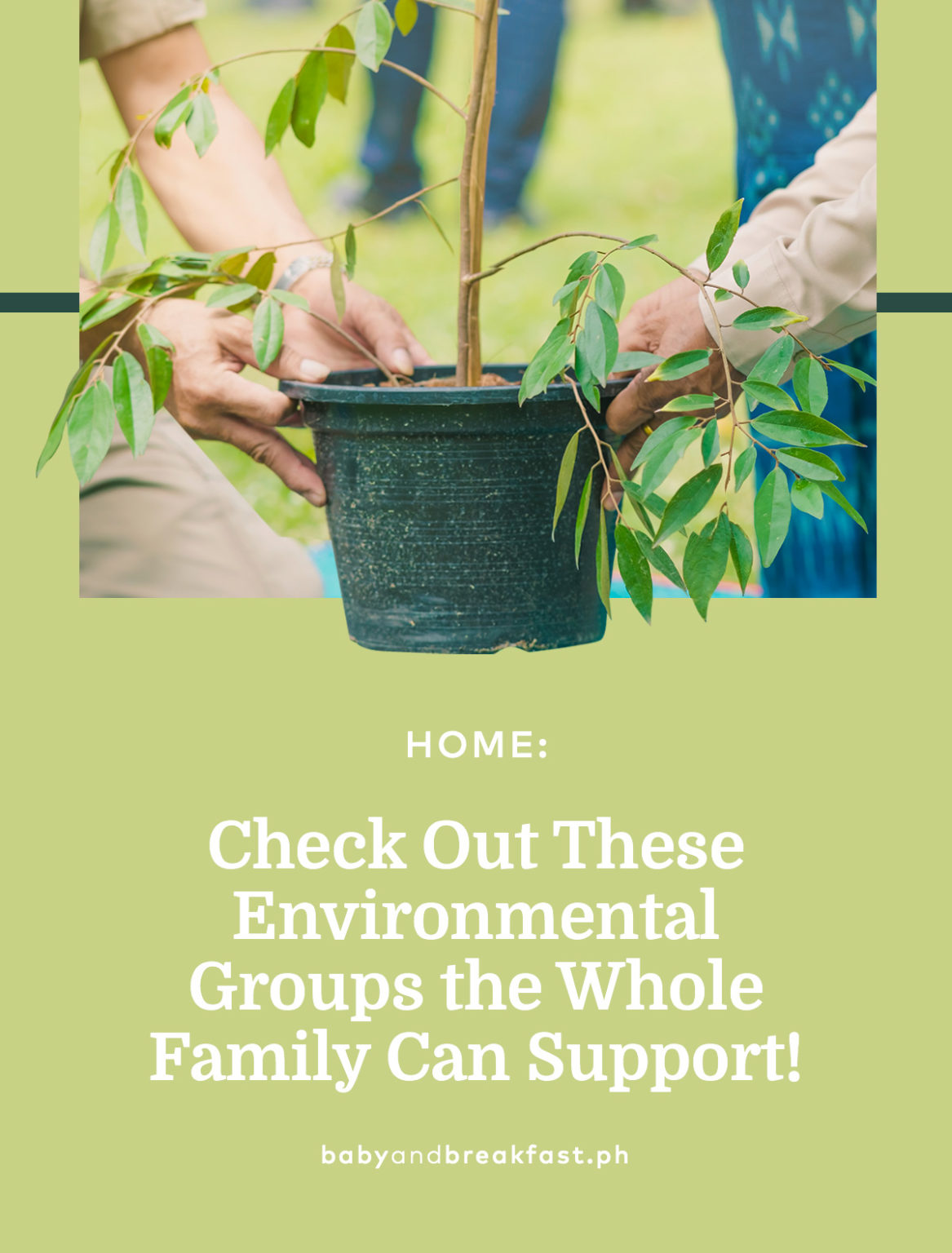 Local Environment Groups Local Environmental Groups | Philippines Mommy Family Blog